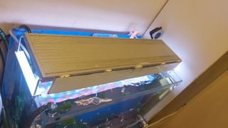 （分類：）位於 。 由 beginner188 提交（商品編號 1228357743，圖片 1）。簡介： 。