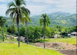 350,528 sqm Mango & Coco Agricultural Lots for Sale Carmen, Agusan Del Norte