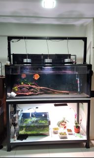 (Category: ) located in . Submitted by brandyyy123 (Listing ID 1228530773, Image 1). Description: .