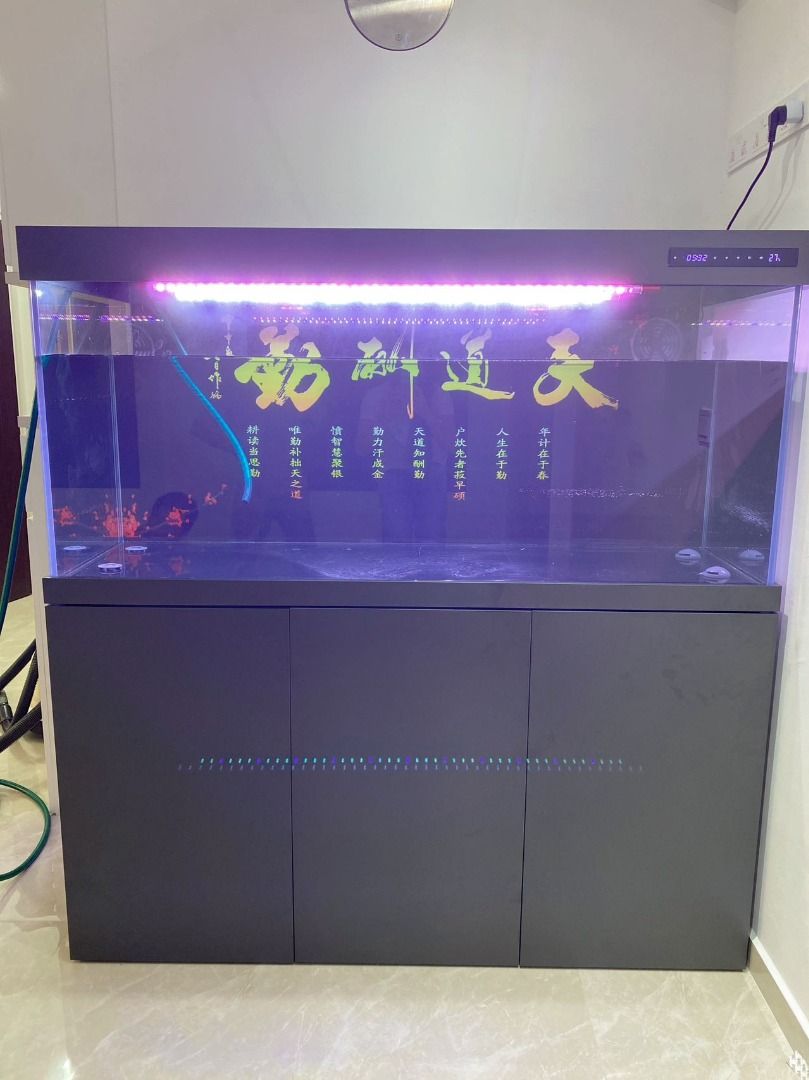 6ft stainless steel fish tank with sump system, Pet Supplies, Homes