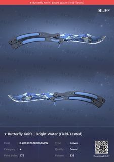 (98% BUFF)  CSGO Butterfly knife Bright water FT (0.20) and Cool mint gloves FT