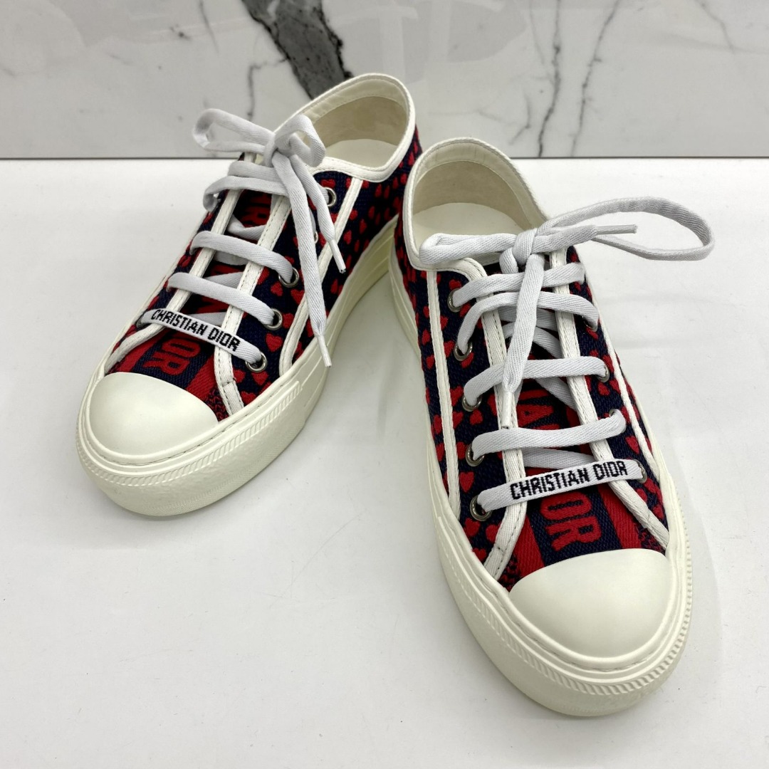 Christian dior clearance canvas shoes
