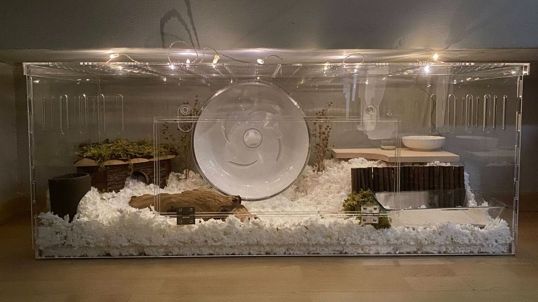 Clear acrylic deals hamster cage