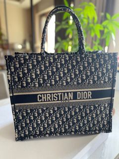 Dior Book Tote Organizer in Kinga Blue., Video published by Esmé®  Singapore