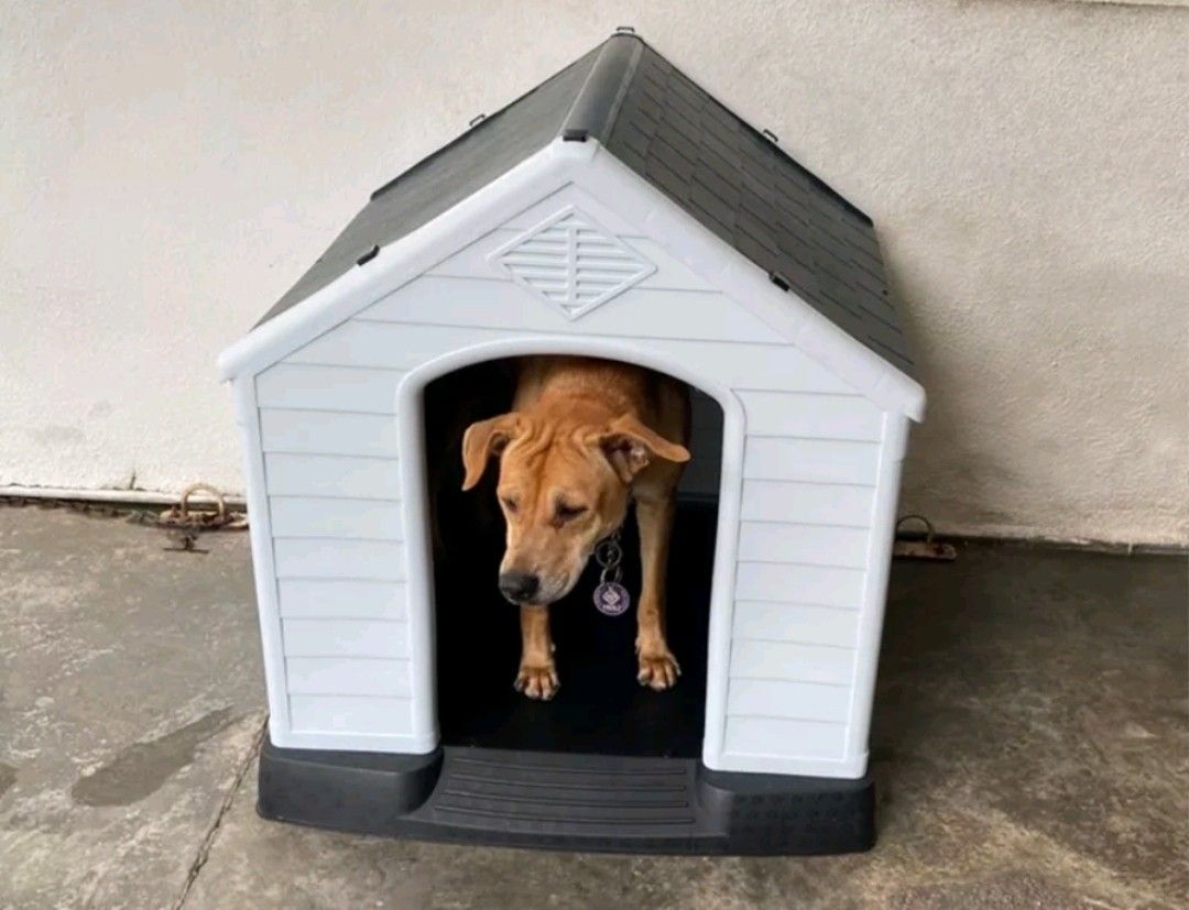 Kennel in malay 2025