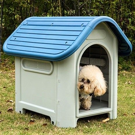 Kennel outlet in malay