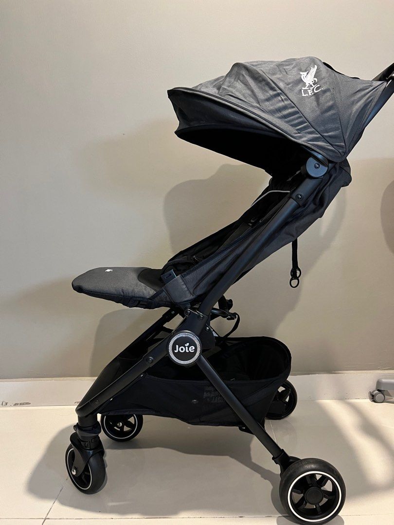Joie pact flex review sales
