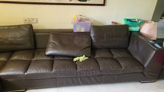 (Category: ) located in . Submitted by acethe0ne (Listing ID 1228418119, Image 1). Description: .