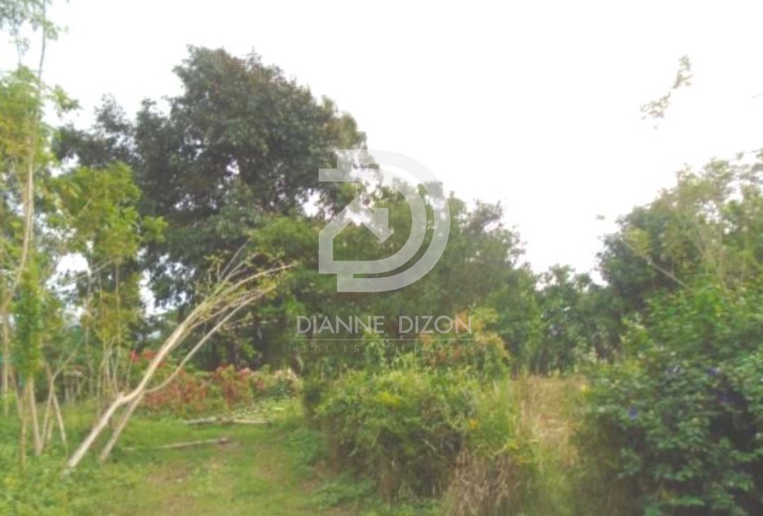 (Category: ) located in . Submitted by habitto.ph (Listing ID 1228466582, Image 1). Description: .