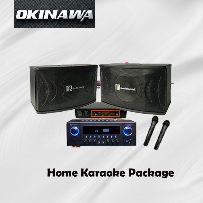 Martin Roland Karaoke Promo System Set, Come with Amplifier, Duo ...