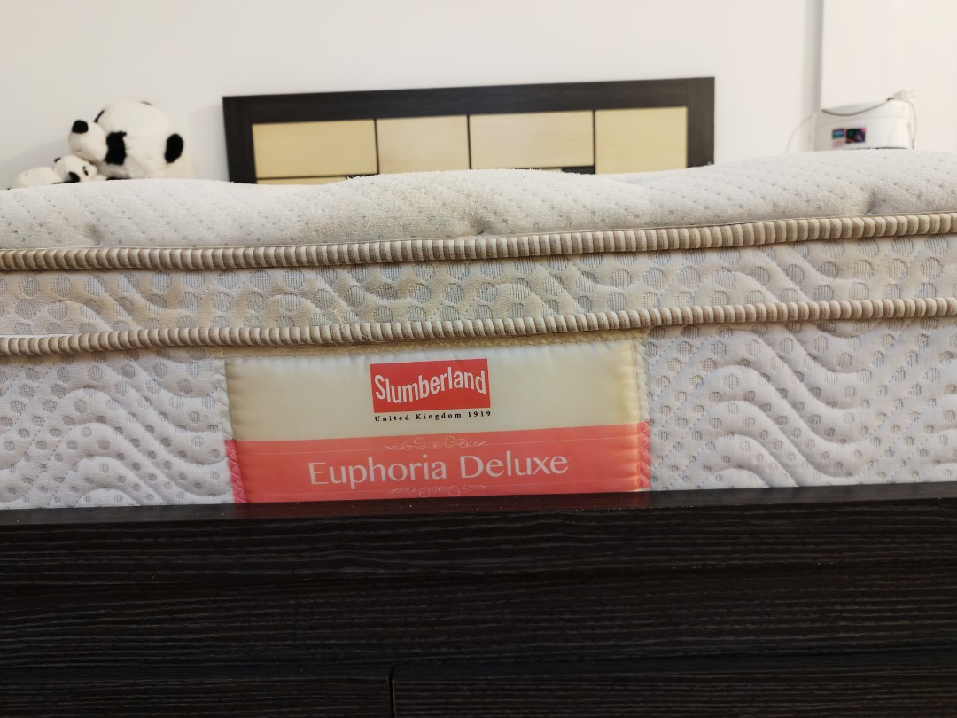 euphoria king mattress set