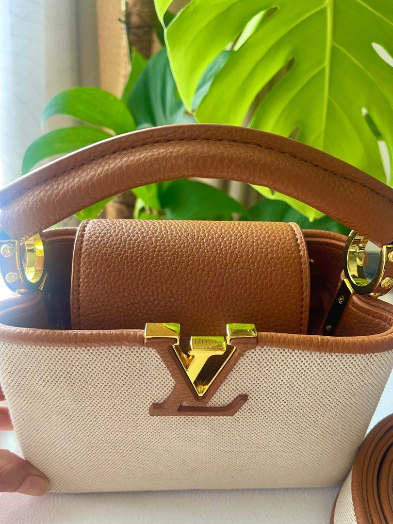 Louis Vuitton Pink Capucines Mini - Pros and Cons review