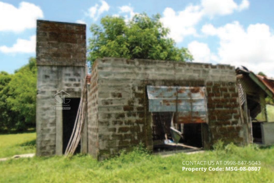 MSG080807 FORECLOSED Agricultural Lot in Brgy. Domanpot, Asingan