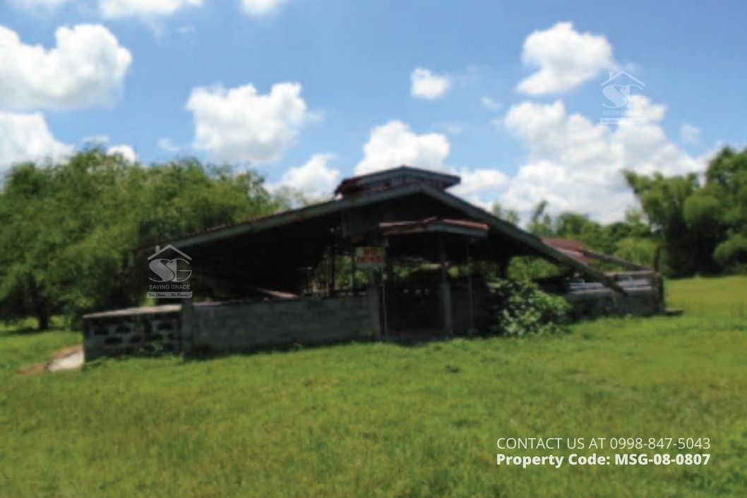 MSG080807 FORECLOSED Agricultural Lot in Brgy. Domanpot, Asingan