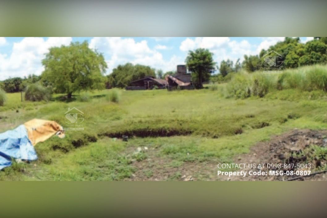 MSG080807 FORECLOSED Agricultural Lot in Brgy. Domanpot, Asingan