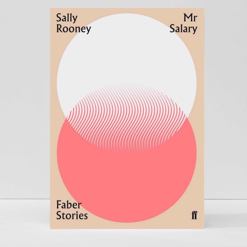 Sally Rooney Book Mr Salary, Hobbies & Toys, Books & Magazines, Storybooks on Carousell