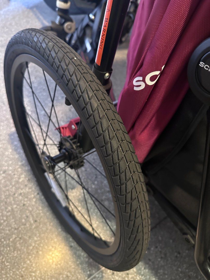 Schwinn echo 2024 double bike trailer