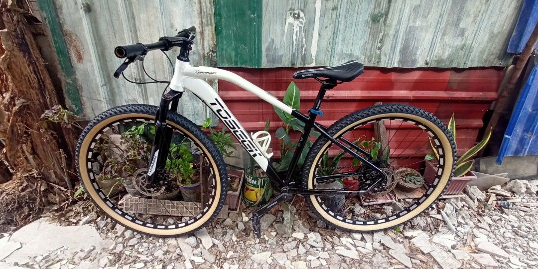 Toseek Brandon 29er, Sports Equipment, Bicycles & Parts, Bicycles on