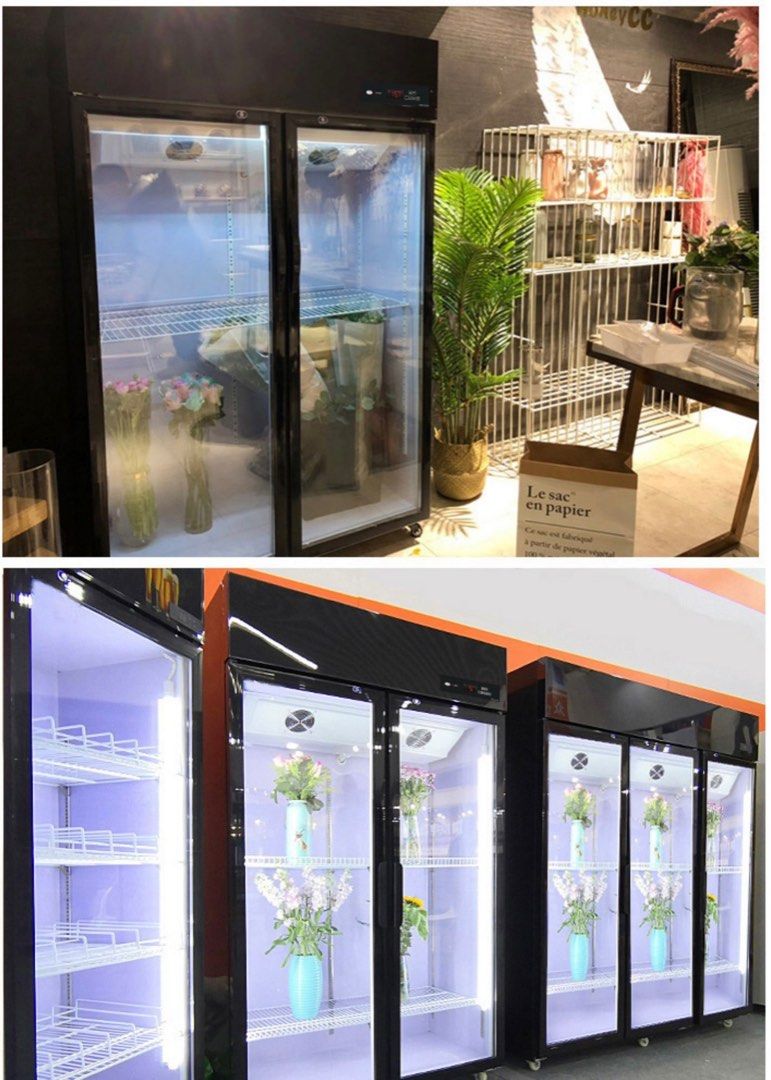 A freezer for storing flowers, food, etc, TV & Home Appliances, Kitchen