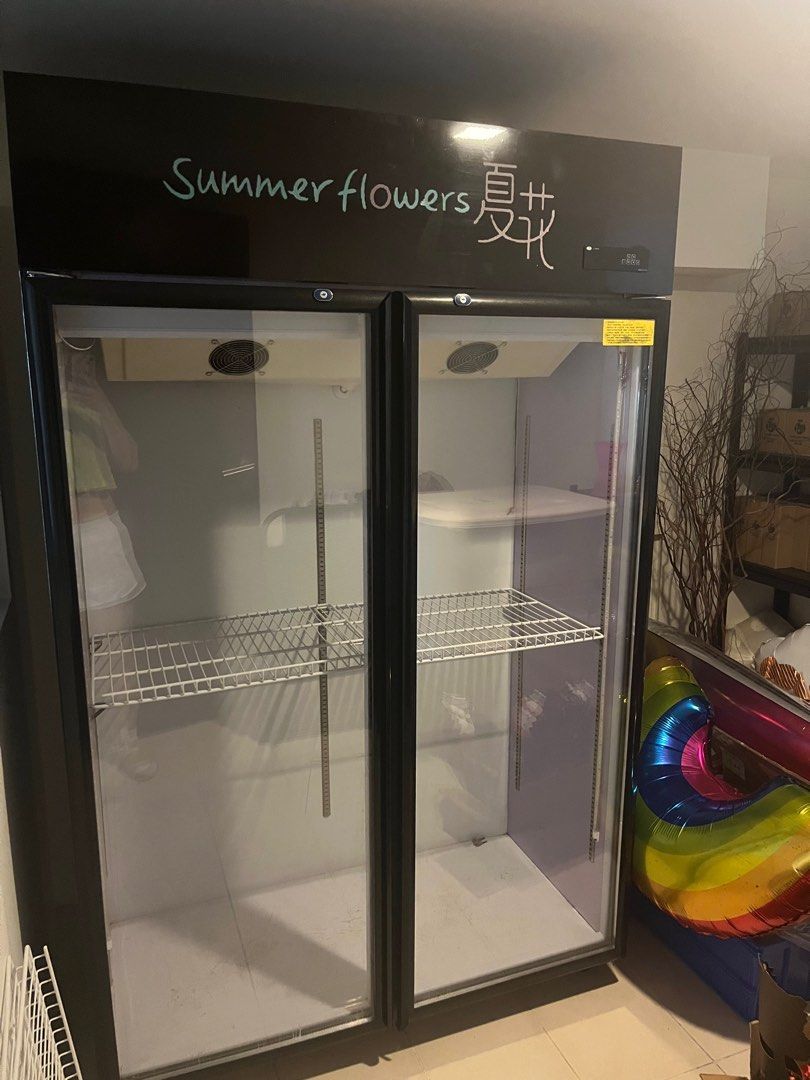 A freezer for storing flowers, food, etc, TV & Home Appliances, Kitchen
