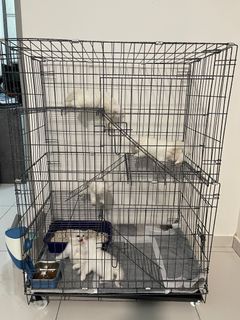 Cat cage 3 level with platform and ladder