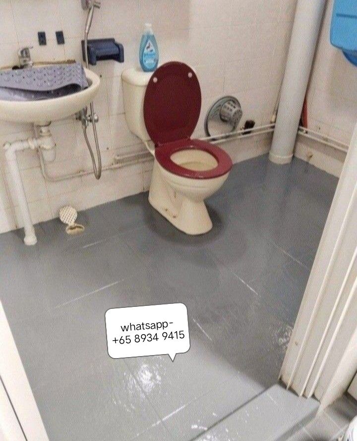 Cheapest painting services on HDB house/ BTO house / EM/ EA house