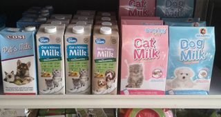 Cosi pet deals milk for kittens