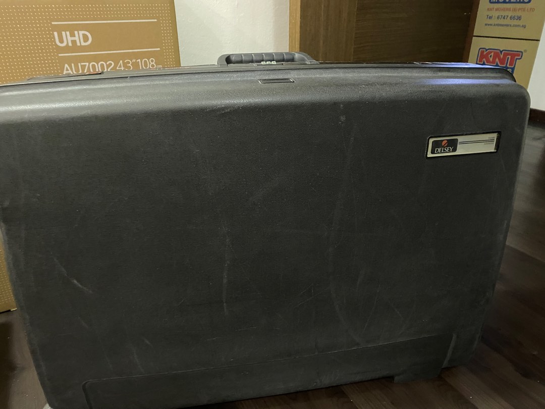 Delsey paris vintage luggage 29, Hobbies & Toys, Travel, Luggage on Carousell