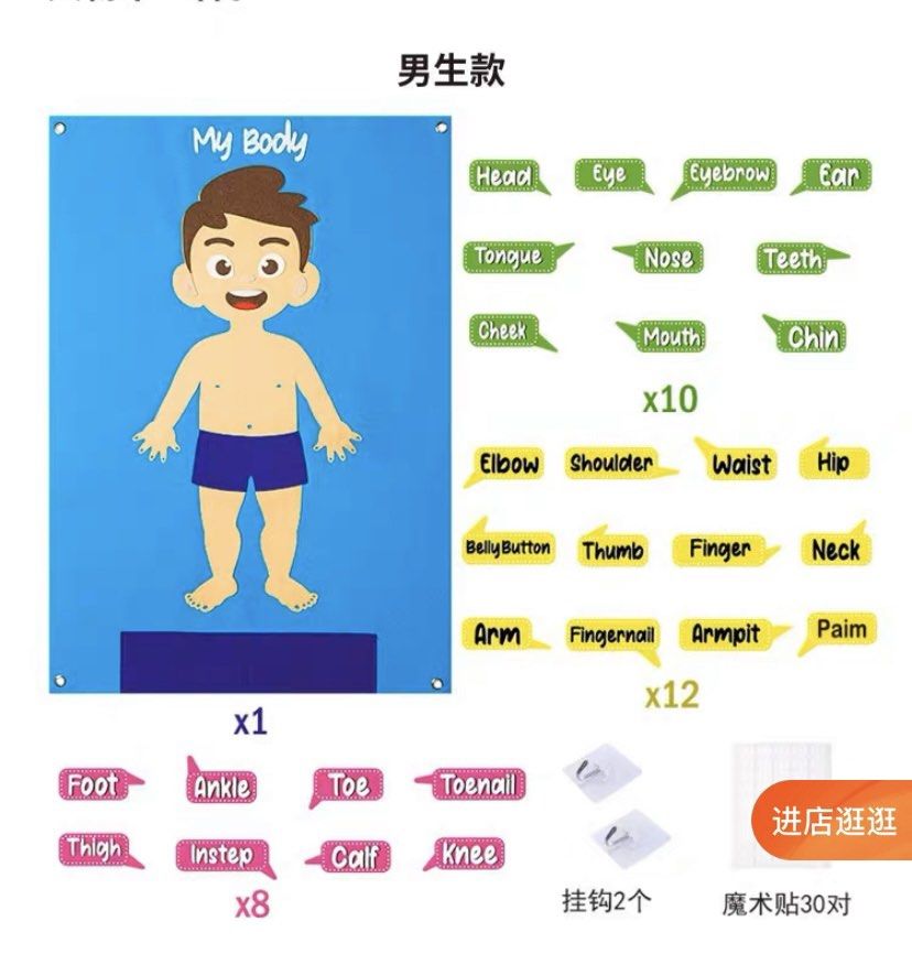 Felt Body Parts (boy), Hobbies & Toys, Toys & Games on Carousell