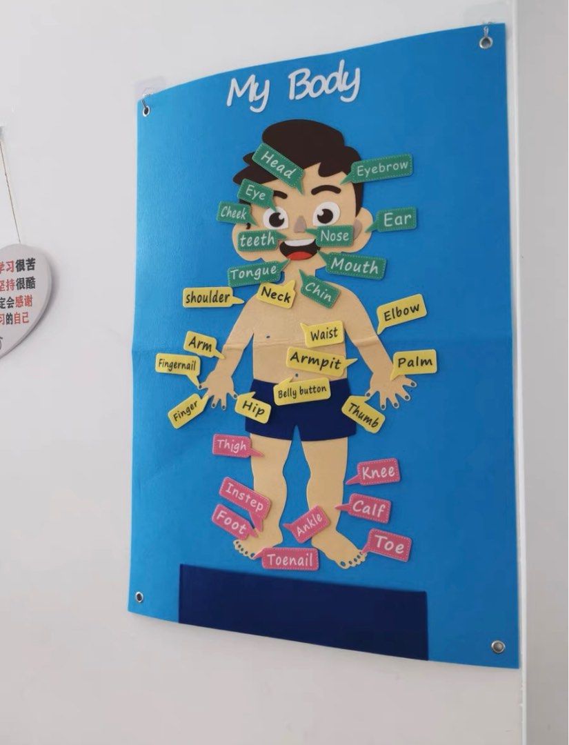 Felt Body Parts (boy), Hobbies & Toys, Toys & Games on Carousell