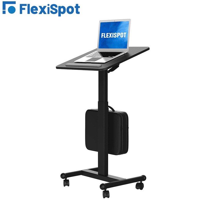 FlexiSpot Standing Desk (Adjustable), Furniture & Home Living ...