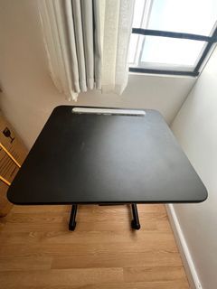 FlexiSpot Standing Desk (Adjustable)