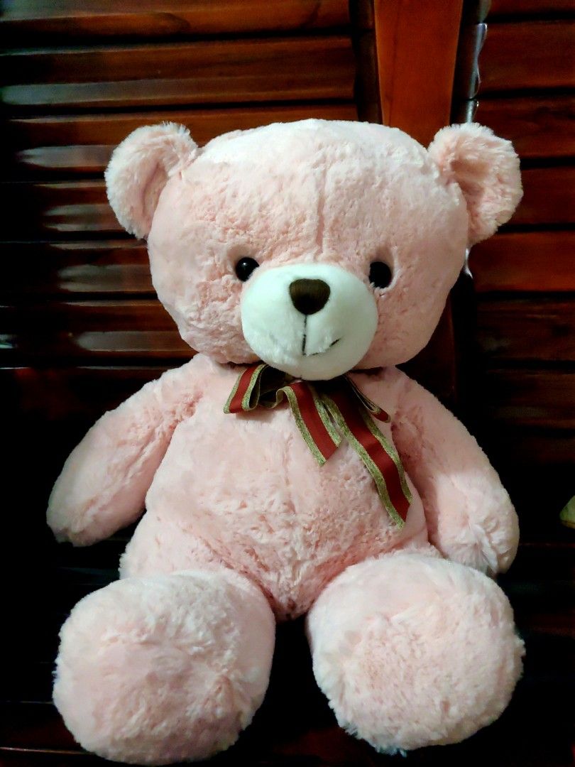Teddy bear kaison shop