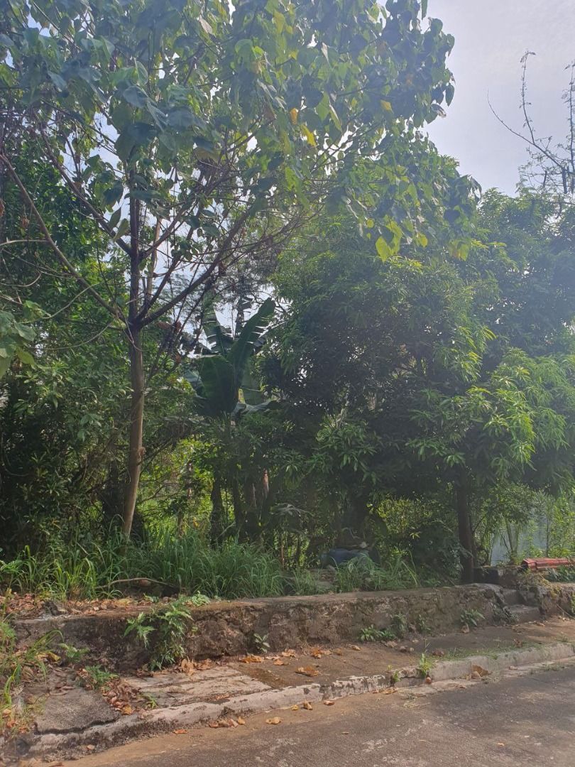 Lot for Sale Palos Verdes Executive, Antipolo City, Property, For Sale