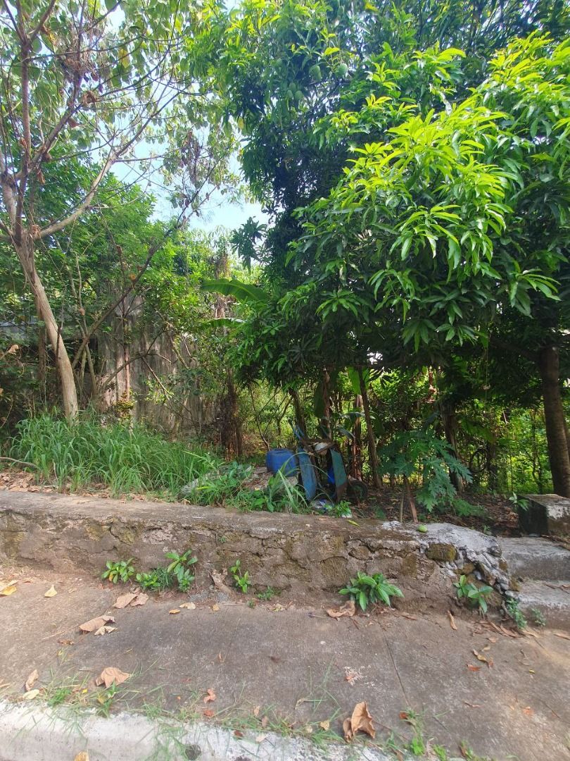 Lot for Sale Palos Verdes Executive, Antipolo City, Property, For Sale