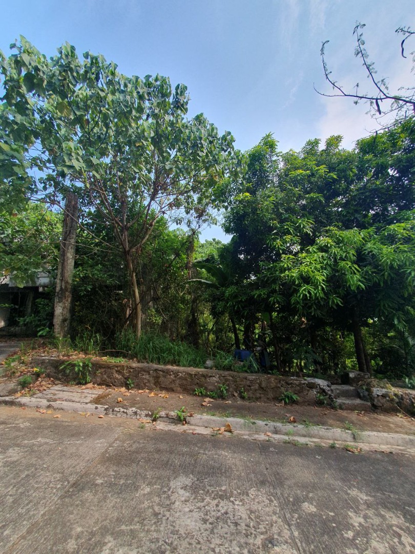 Lot for Sale Palos Verdes Executive, Antipolo City, Property, For Sale