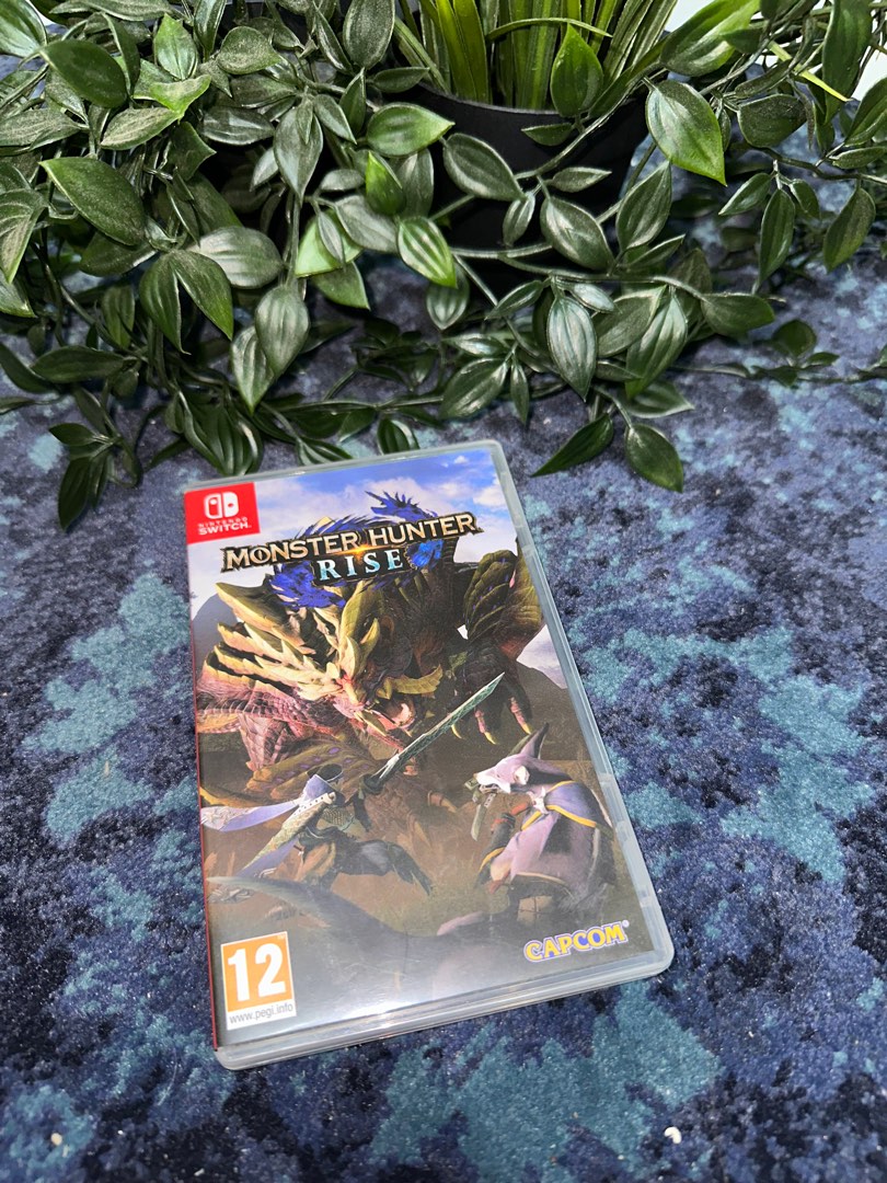 Monster hunter rise switch, Video Gaming, Video Games, Nintendo on ...