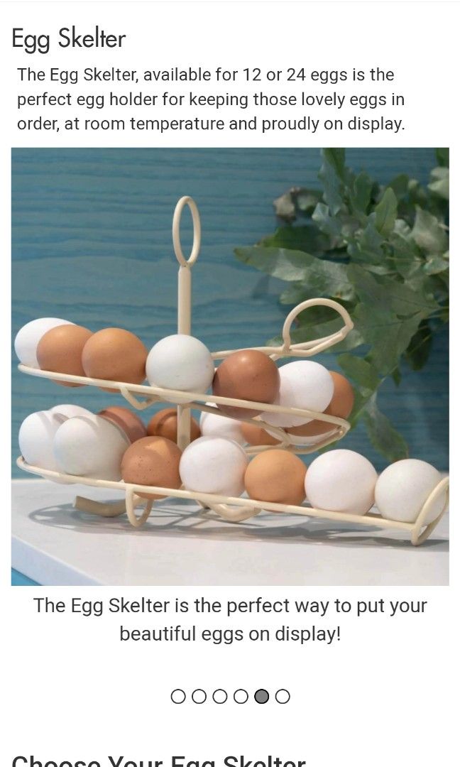 Egg Skelter 24 Eggs - Cream