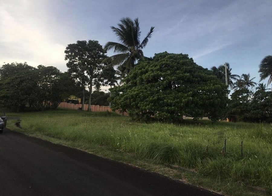 (Category: ) located in . Submitted by tinnbarr (Listing ID 1228601198, Image 1). Description: .