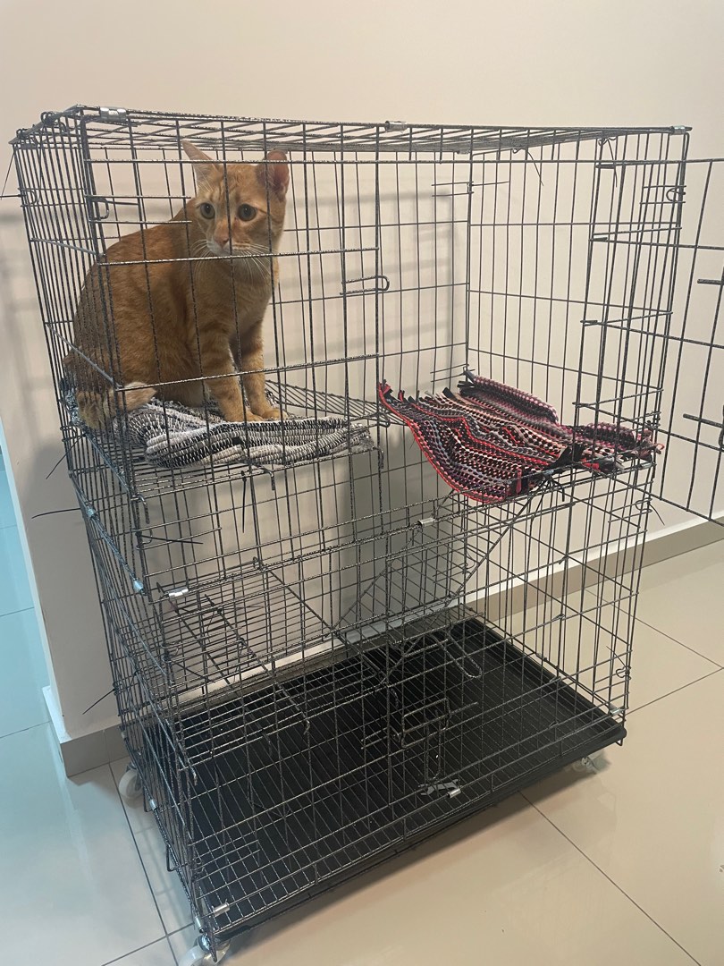 Collapsible cat cage discount
