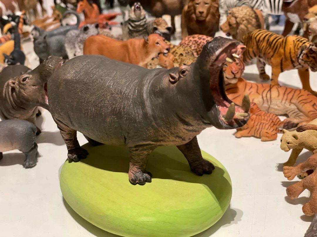 1 piece Hippopotamus Collecta, Hobbies & Toys, Toys & Games on Carousell