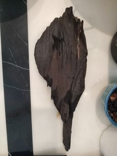 250 Grams Kemuning Hitam AAA Hard Quality / From West Malaysia Mountain/100% Sinking Piece/Asli  Traditional Herbs/Wood Display Item/Raw Kemuning Hitam /Kemuning Kayu