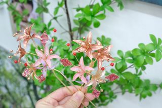 （分類：）位於 。 由 3_stars 提交（商品編號 1228805696，圖片 1）。簡介： 。