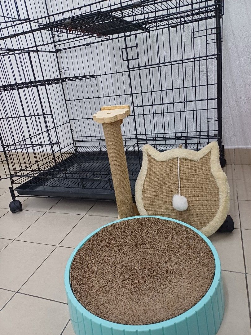 Cat item deals