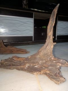 (Category: ) located in . Submitted by fazzfiza (Listing ID 1228888075, Image 1). Description: .