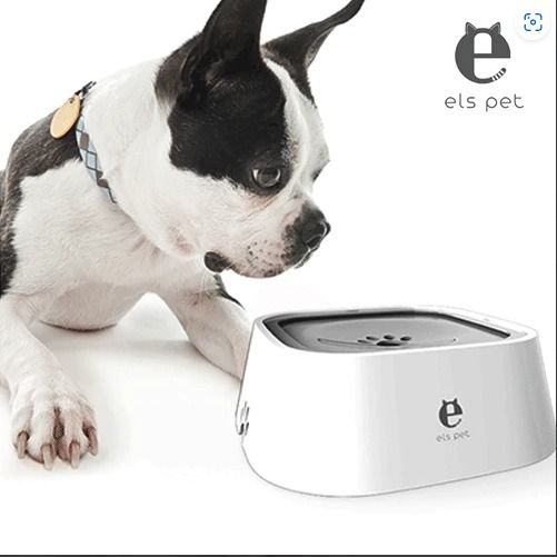 Slow drink dog sales bowl