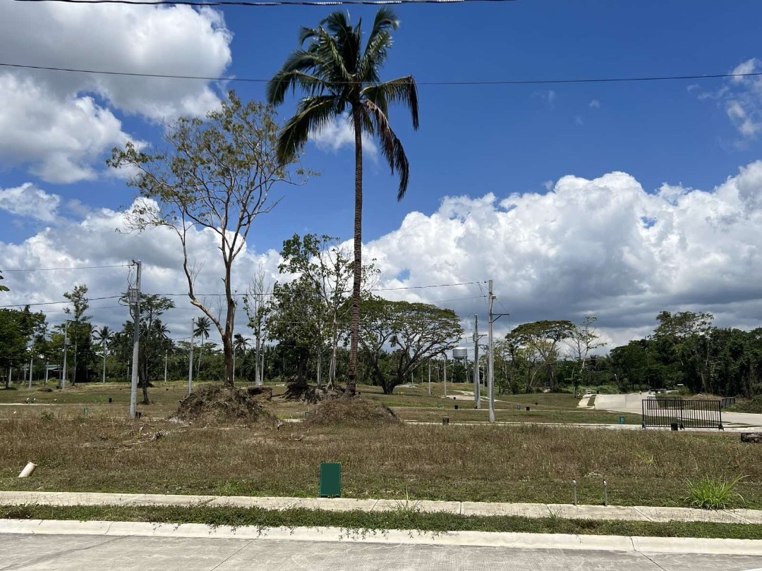 GH FOR SALE 120 sqm Residential Lot in Terreno South, Batangas