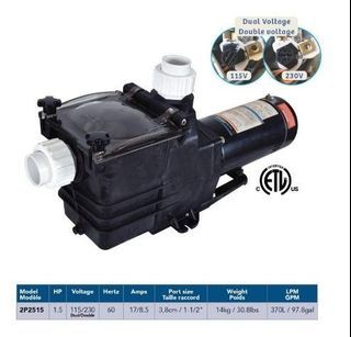 In-Ground Pool Pump (2P2515)