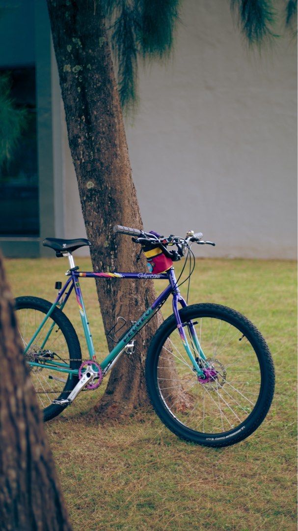 MTB Retro Open Swap, Sports Equipment, Bicycles & Parts, Bicycles on