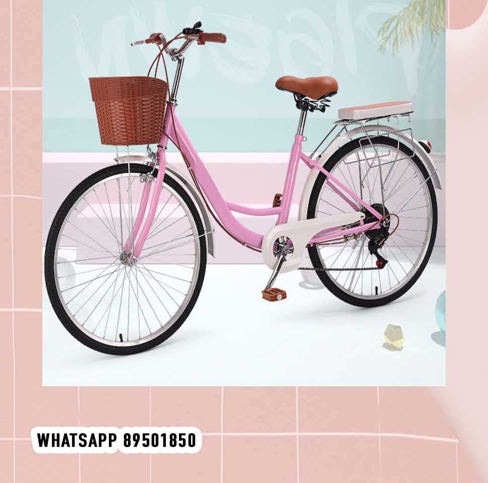 Ladies bike delivered shop
